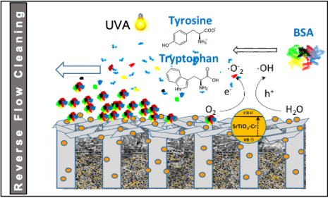 photocatalytic membrane